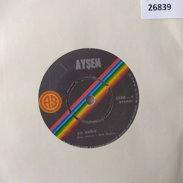 aysem-ya-sabir-kim-haram-demis-tr45ksi-821c-7.jpg