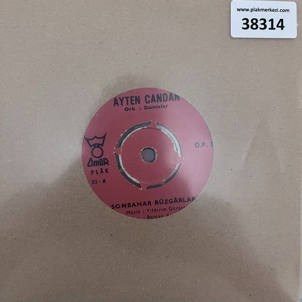 ayten-candan-sonbahar-ruzgarlari-kalbi-5-474a.jpg