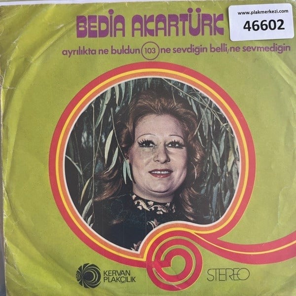 bedia-akarturk-ayrilikta-ne-buldun-ne---4d58d.jpg