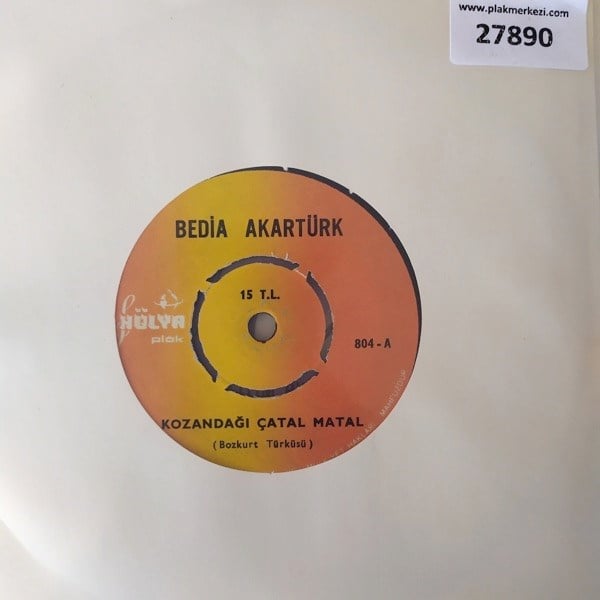 bedia-akarturk-kozandagi-catal-matal-d-a2e21b.jpg