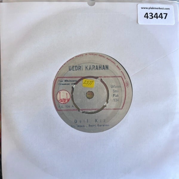 bedri-karahan-deli-kiz-fakirinm-halini-f8e-98.jpg