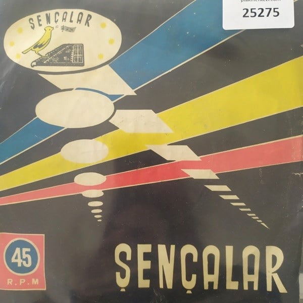 behiye-aksoy-dertli-basim-neden-dargon-6-44f6.jpg