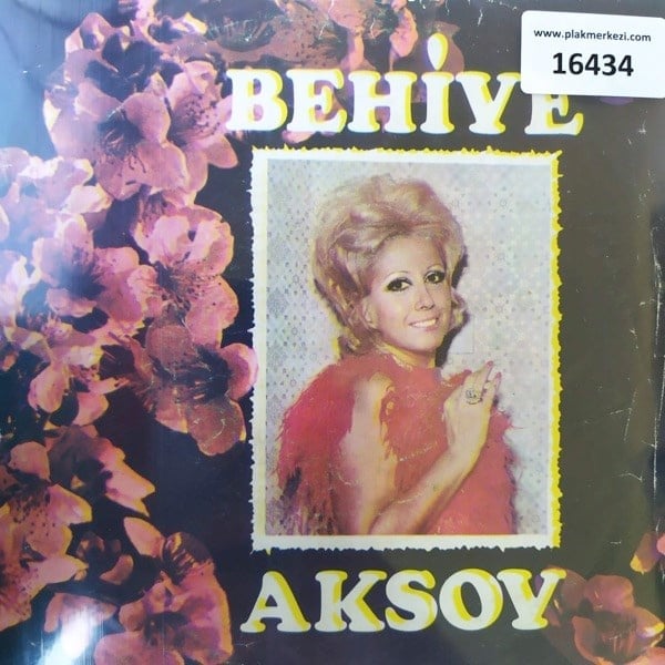 behiye-aksoy-karanlik-dun-yalar-sevdig-59163a.jpg