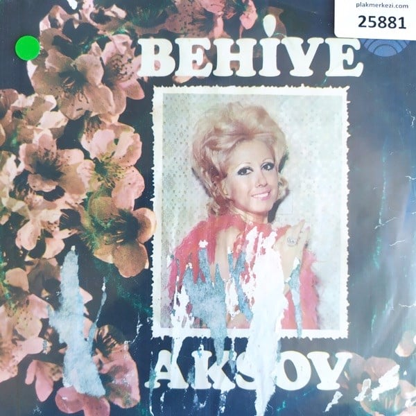behiye-aksoy-karanlik-dunyalar-sevdigi-1ed565.jpg