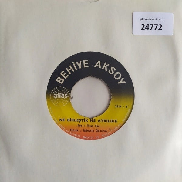behiye-aksoy-ne-bilestik-ne-ayrildik-o-62-599.jpg