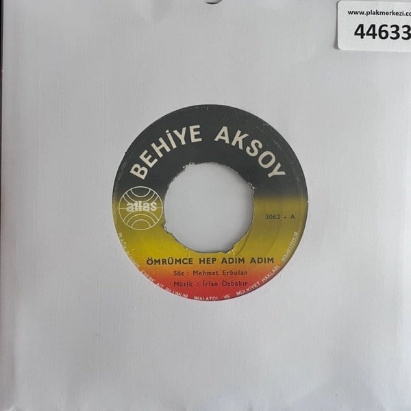 behiye-aksoy-omrumce-hep-adim-adim-han-45a3-b.jpg