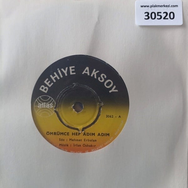 behiye-aksoy-omrumce-hep-adim-adim-han-a50-43.jpg