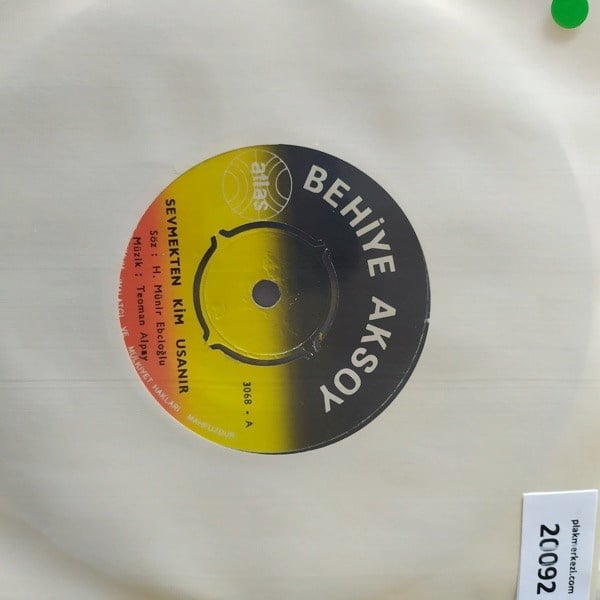 behiye-aksoy-sevmekten-kim-usanir-kisk-538-f3.jpg