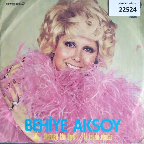behiye-aksoy-unutmayi-kim-ogretti-at-k-347069.jpg