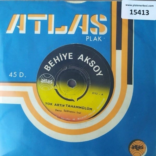 behiye-aksoy-yok-artik-tahammulum-bir--84d241.jpg