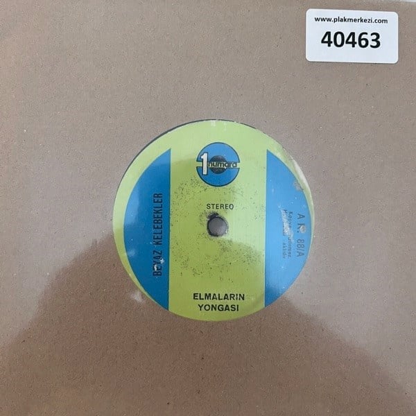 beyaz-kelebekler-elmalarin-yongasi-unu-85c-a2.jpg