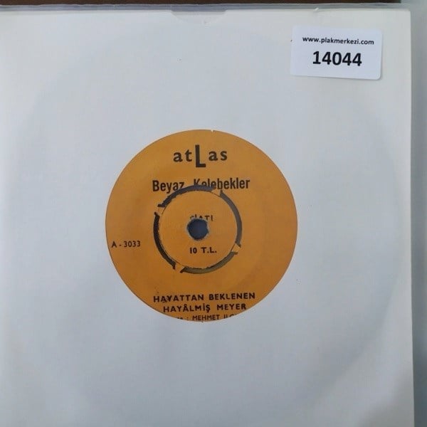 beyaz-kelebekler-hayattan-beklenen-hay-6b6-c6.jpg