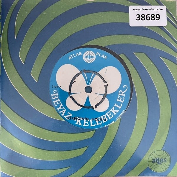 beyaz-kelebekler-kirpiginin-uclari-la--8767-4.jpg