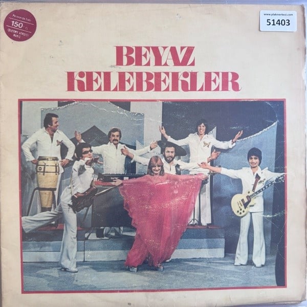 beyaz-kelebekler-sen-gidince-turkce-lo--1b7e-.jpg