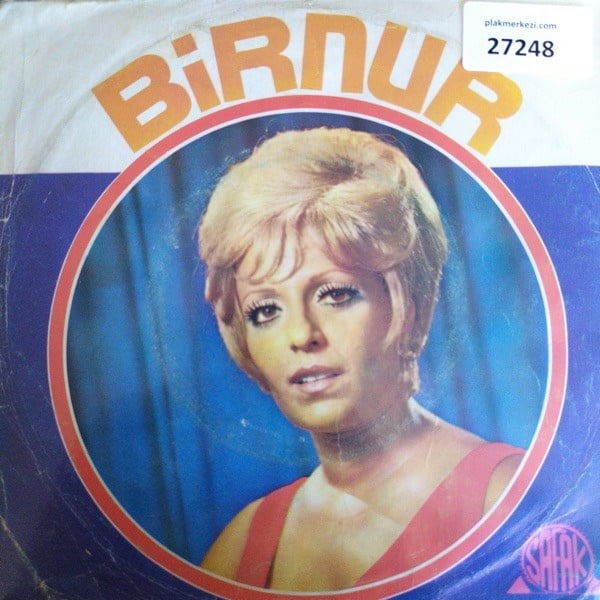 birnur-ruzgar-gibi-gecti-omrun-bahari--b312-4.jpg
