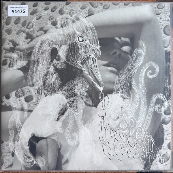 bjork-vespertine-insertleri-var-cift-p-9-d328.jpg