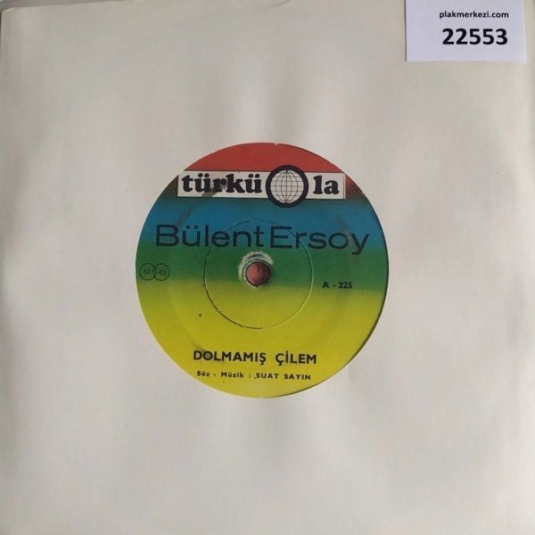 bulent-ersoy-dolmamis-cilem-ben-de-kul-4612-9.jpg