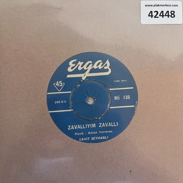 cahit-seyhanli-zavalliyim-zavalli-alma-7-4a6b.jpg