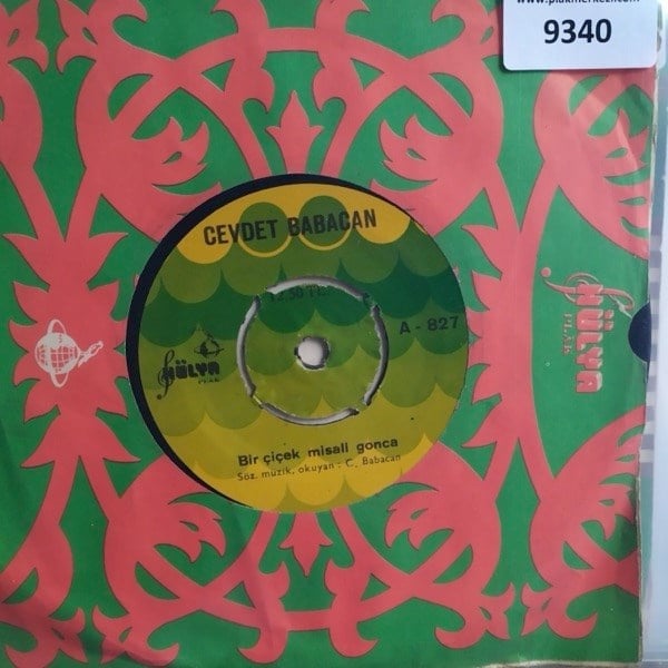 cevdet-babacan-bir-cicek-misali-goncay--8453-.jpg