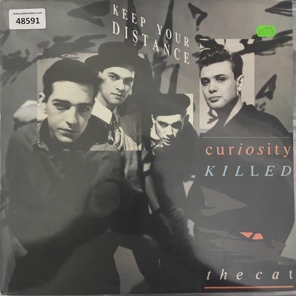 curiosity-killed-the-cat-keep-you-dist--f8e28.jpg