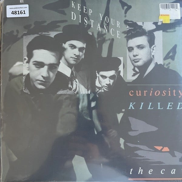 curiosity-killed-the-cat-keep-your-dis-c1-482.jpg