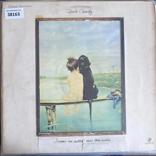david-cassidy-dreams-are-nuthin-acilir--ed03-.jpg