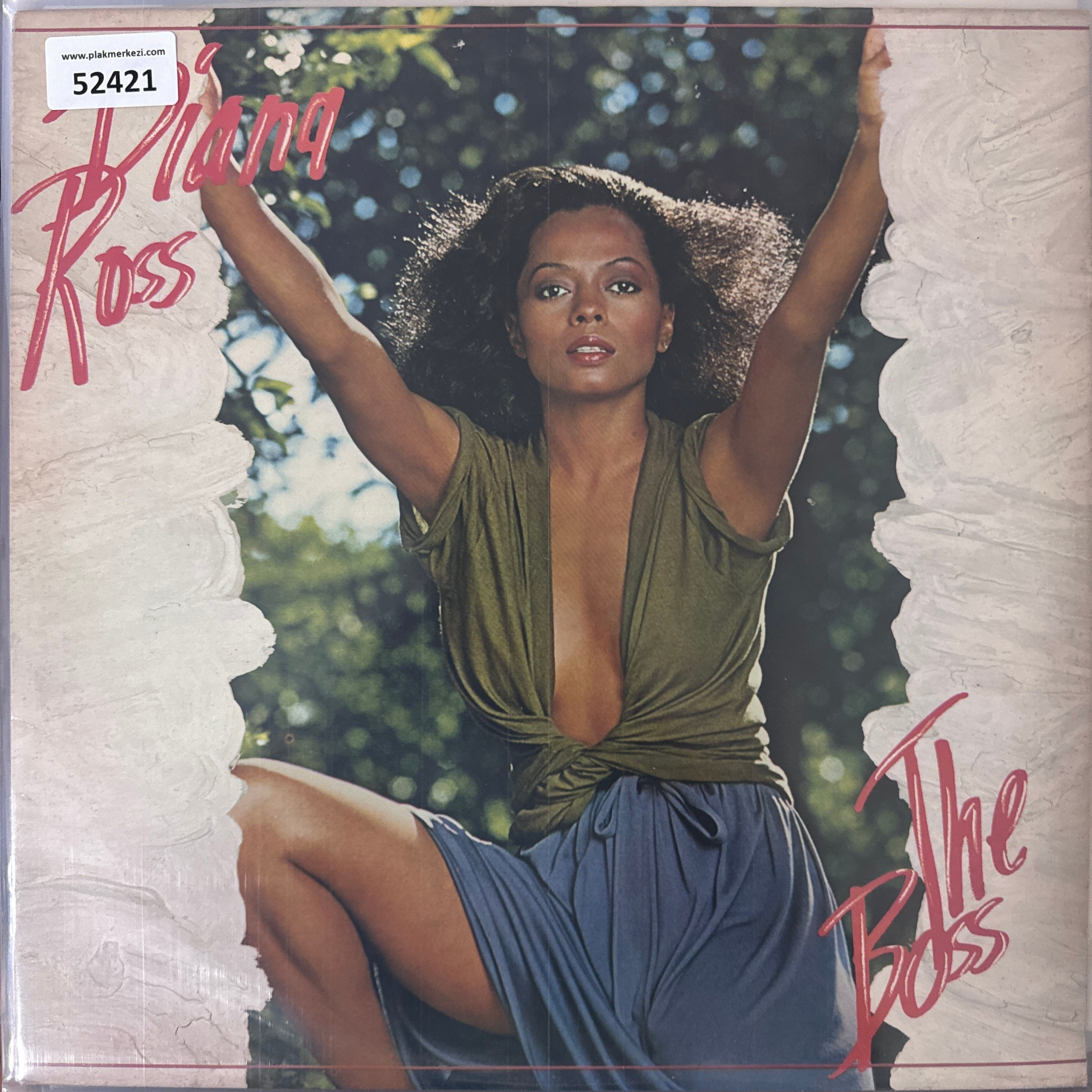 diana-ross-the-boss-1981-ingiltere-bas-91-457.jpg