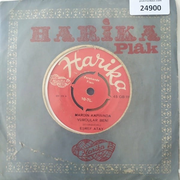 diyarbakirli-esref-atay-mardin-kapisin--4d35-.jpg