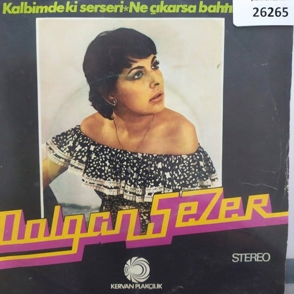 dolgan-sezer-kalbimdeki-serseri-ne-cik-9-4854.jpg