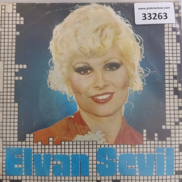 elvan-sevil-365-gunum-de-yandi-ha-yand--9dbf-.jpg