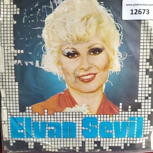 elvan-sevil-365-gunum-de-yandi-ha-yand-da49-4.jpg