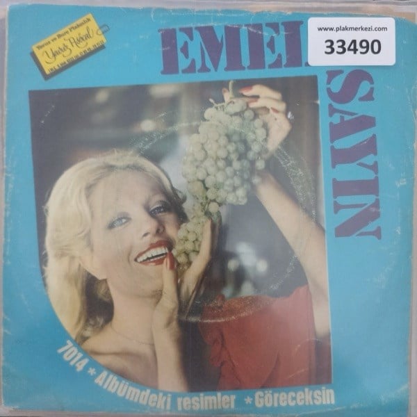 emel-sayin-albumdeki-resimler-goreceks-70-68e.jpg