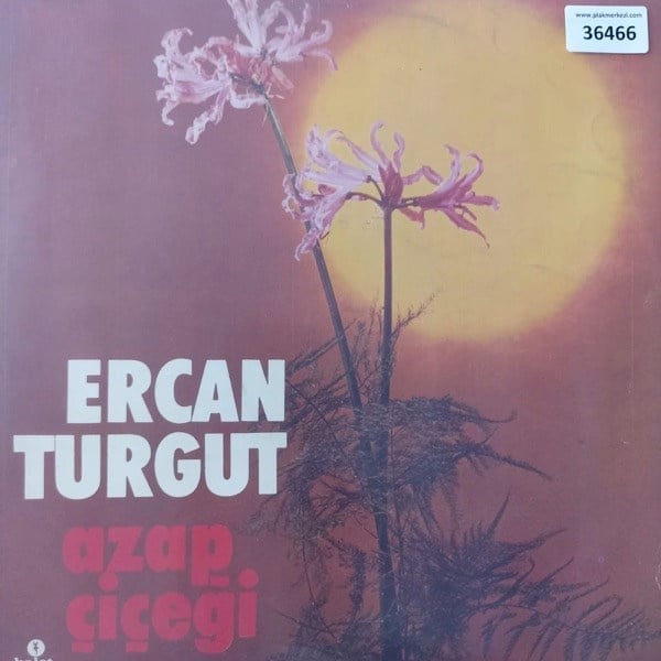 ercan-turgut-azap-cicegi-acilir-kapak--89-8e0.jpg