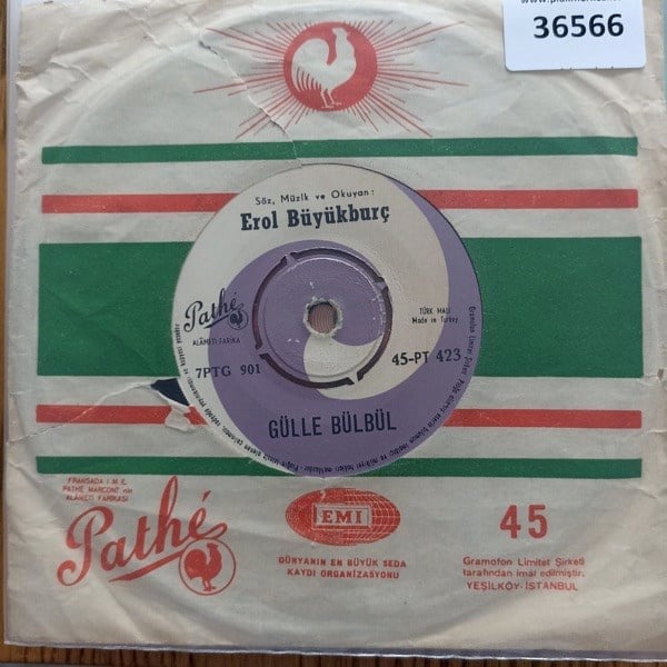 erol-buyukburc-gulle-bulbul-civeli-fer-4fff-9.jpg