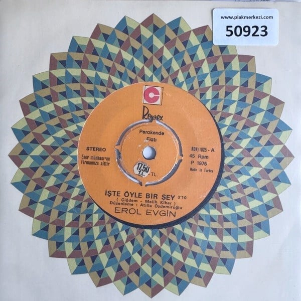 erol-evgin-iste-oyle-bir-sey-sevdan-ol-83-902.jpg