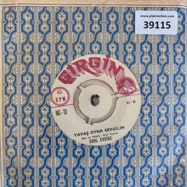 erol-evsine-karsiki-daglar-dumanli-yav-ef-111.jpg