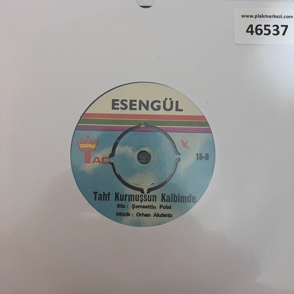 esengul-cok-gec-olmadan-taht-kurmussun-6-4219.jpg