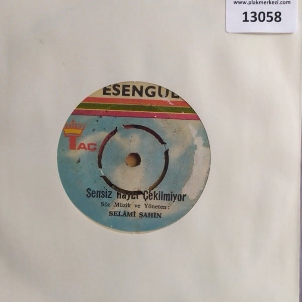 esengul-sensiz-hayat-cekilmiyorasksiz--d5c8-4.jpg