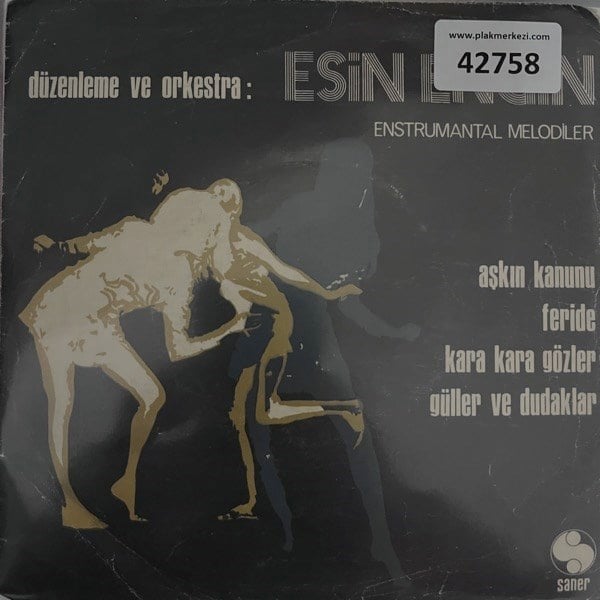 esin-engin-askin-kanunu-ferdie-kara-ka-5a-f7d.jpg