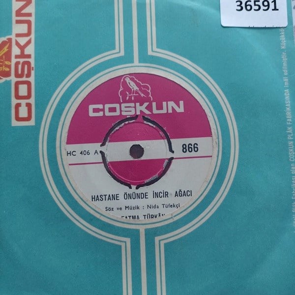 fatma-turkan-hastane-onunde-incir-agac-e-6f3e.jpg