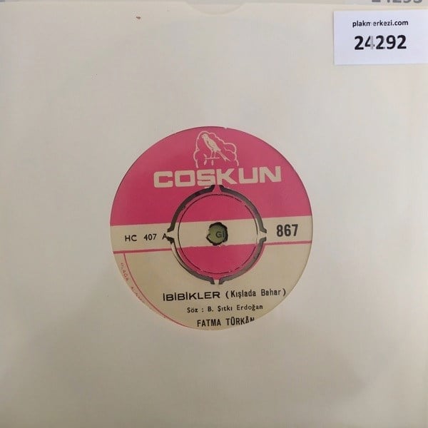 fatma-turkan-ibibikler-kislada-bahar-d-8c-419.jpg