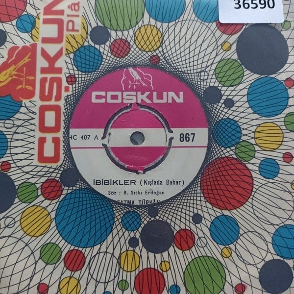 fatma-turkan-ibibikler-kislada-bahar-d-c3813f.jpg