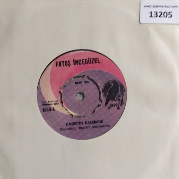 fatos-inceguzel-hasretni-kalbimde-yazi-fe-84a.jpg