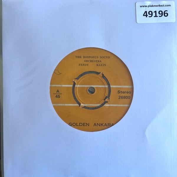 ferdy-klein-the-bosporus-sound-orchest-205-a0.jpg
