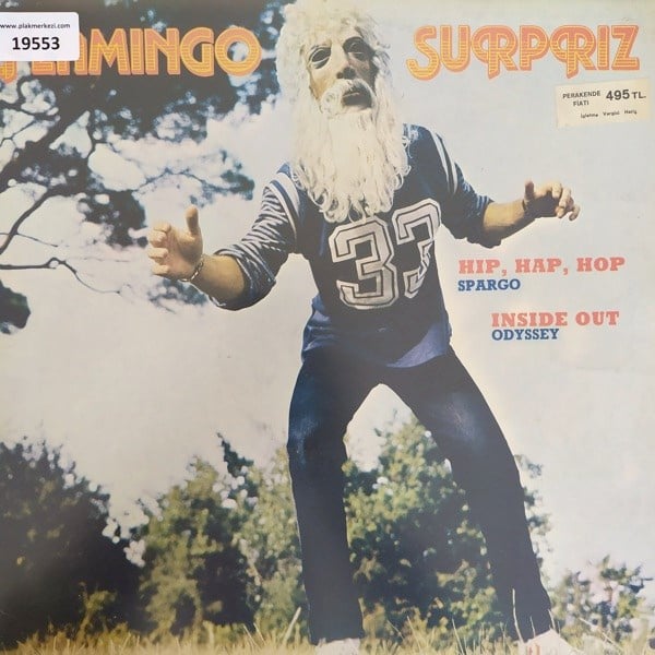 flamingo-surpriz-flamingo-surpriz-turk-2395c9.jpg