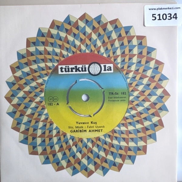 garibim-ahmet-yuvasiz-kus-doldur-be-me-68-212.jpg