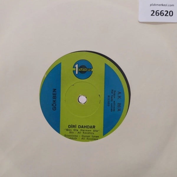 gokben-diri-dahdar-ruhumda-bir-firtina-6b42a6.jpg