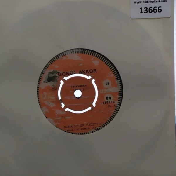 gonul-akkor-bana-neler-vadettinask-fir-8e-695.jpg