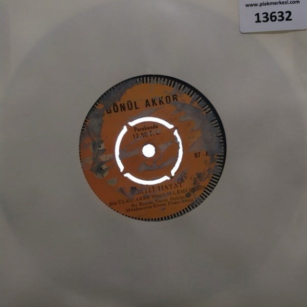 gonul-akkor-dertli-hayatgunahsiz-dudak-62fcd0.jpg
