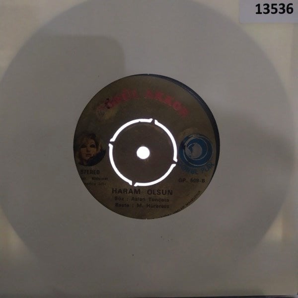 gonul-akkor-el-uzatsam-ellerineharam-o-97-7e6.jpg